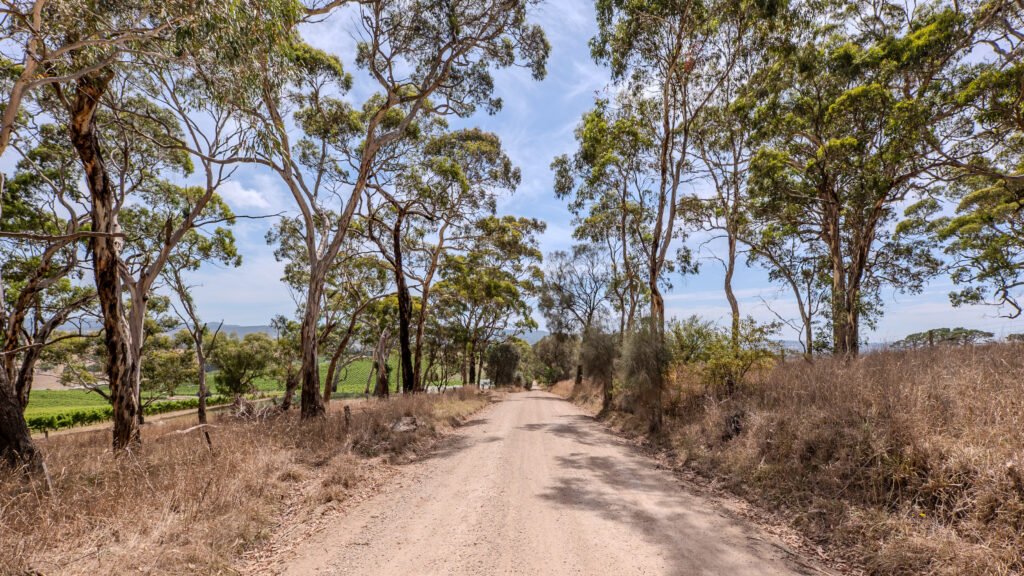 Dirt rd to Freedom, Balhannah, SA.  Poster prints. Photos for sale, printed and delivered.