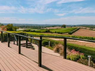 Laneway Vineyard, SA.  Poster prints. Photos for sale, printed and delivered.