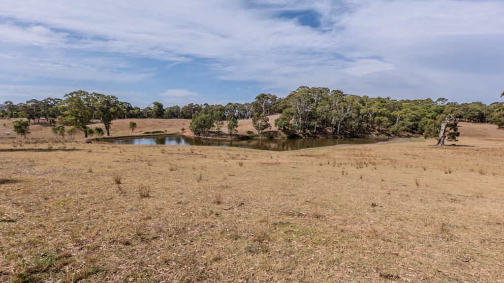 The Dam, Hahndorf, SA. Poster prints. Photos for sale, printed and delivered.