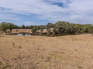 The Dam, Hahndorf, SA. Poster prints. Photos for sale, printed and delivered.