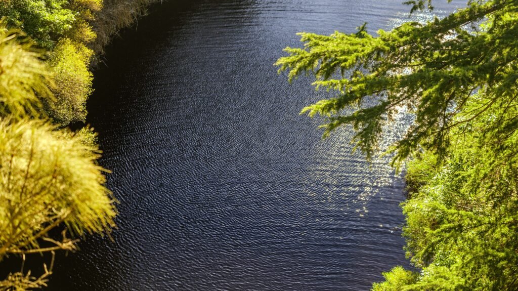 The Lake, Waterfall Gully, SA.  Poster prints. Photos for sale, printed and delivered.