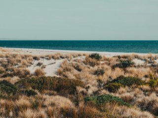 Retro Grange Beach, SA.  Poster prints. Photos for sale, printed and delivered.