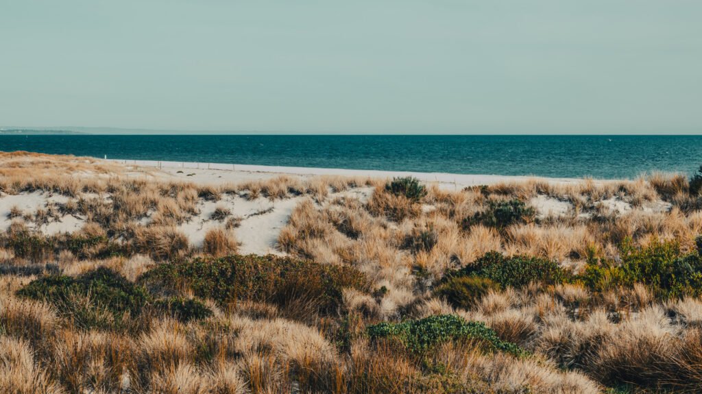 Retro Grange Beach, SA.  Poster prints. Photos for sale, printed and delivered.