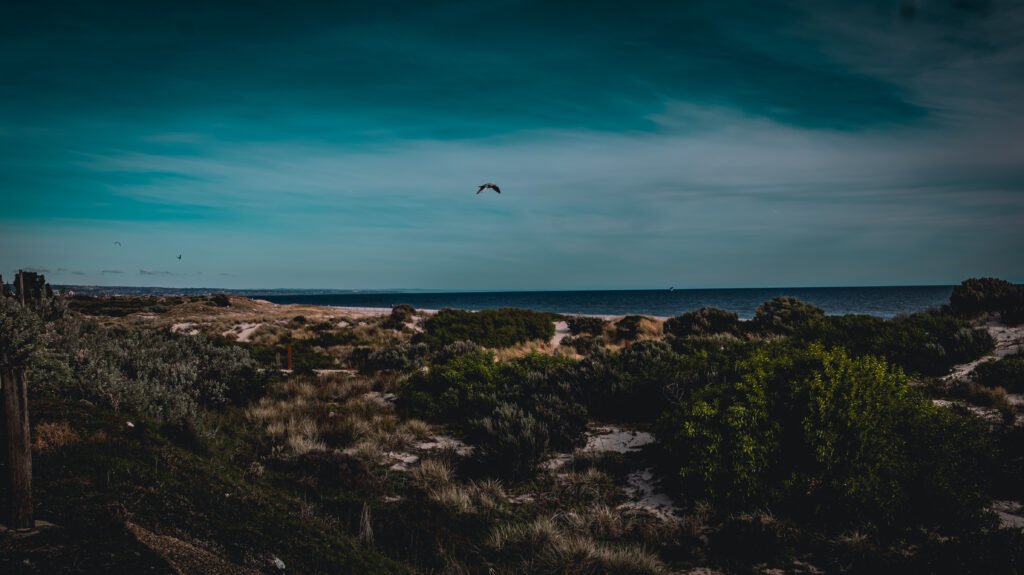 Stormy Beach, SA.  Poster prints. Photos for sale, printed and delivered.