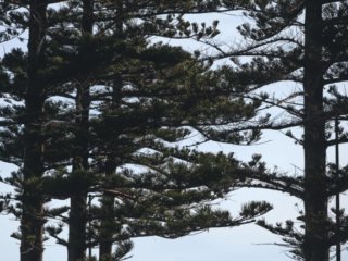 Glenelg, SA.  Poster prints. Photos for sale, printed and delivered.