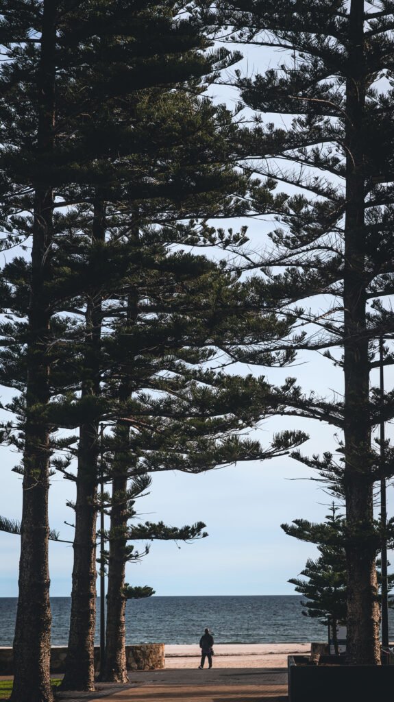 Glenelg, SA.  Poster prints. Photos for sale, printed and delivered.