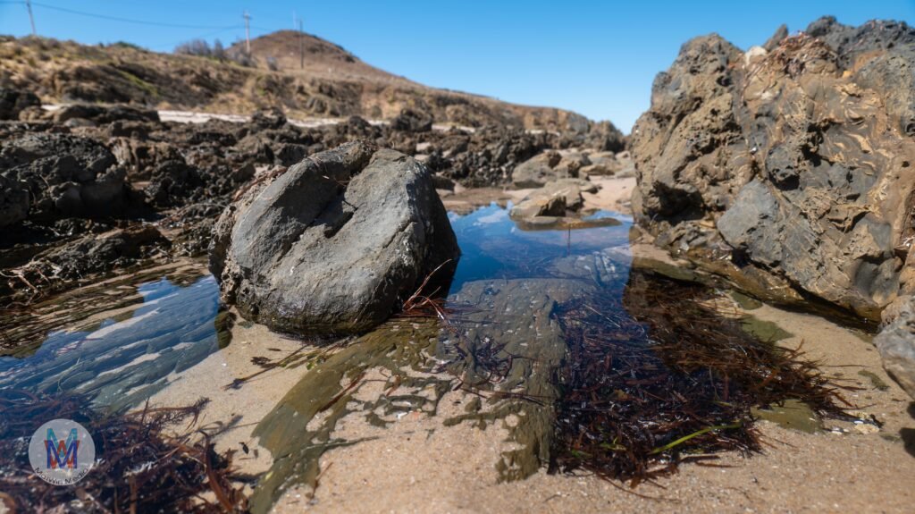 Carrickalinga Beach, South Australia