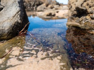 Carrickalinga Beach, South Australia