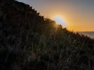 Carrickalinga Beach, South Australia (sunset )
